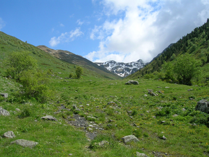 Monte vers le col d'Ayous