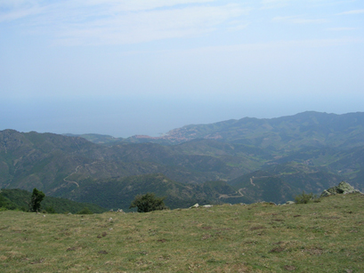 Banyuls