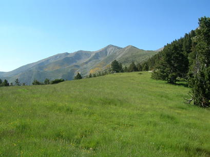 Les crtes du col de Serre Vernet