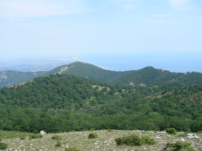 la tour de Massane